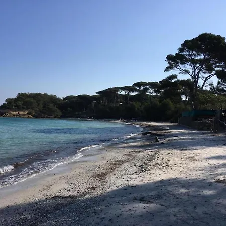 Apartman In Le Brusc Near Sandy